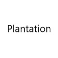 Plantation Plantation
